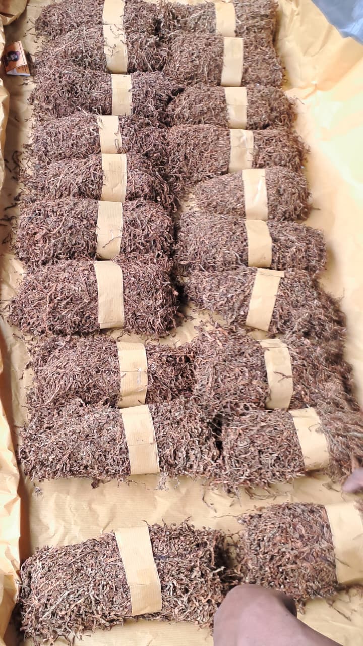 Tembakau Piton
