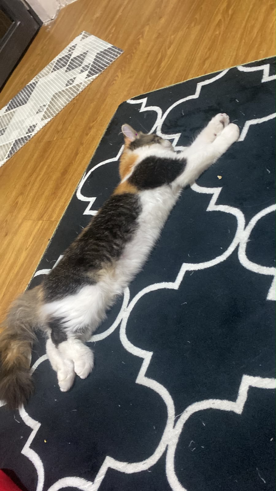 Karpet hitam